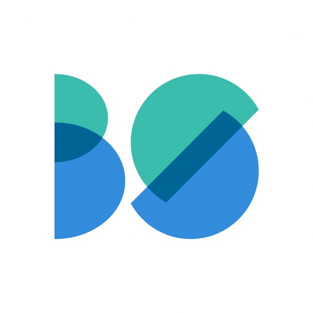 Logo BedSize.eu
